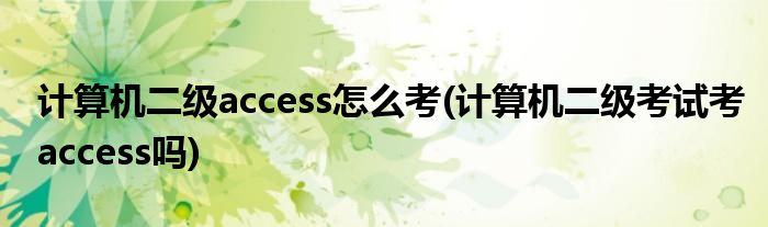 計算機二級access怎么考(計算機二級考試考access嗎)