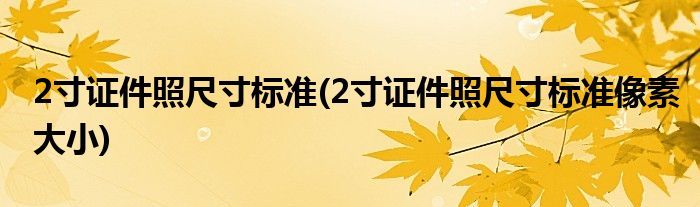 2寸證件照尺寸標(biāo)準(zhǔn)(2寸證件照尺寸標(biāo)準(zhǔn)像素大小)