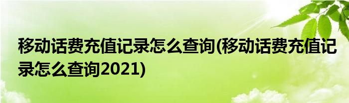 移動話費充值記錄怎么查詢(移動話費充值記錄怎么查詢2021)