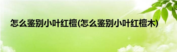 怎么鑒別小葉紅檀(怎么鑒別小葉紅檀木)