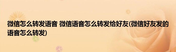 微信怎么轉(zhuǎn)發(fā)語(yǔ)音 微信語(yǔ)音怎么轉(zhuǎn)發(fā)給好友(微信好友發(fā)的語(yǔ)音怎么轉(zhuǎn)發(fā))