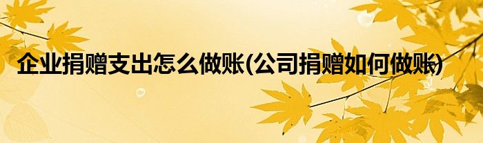 企業(yè)捐贈支出怎么做賬(公司捐贈如何做賬)