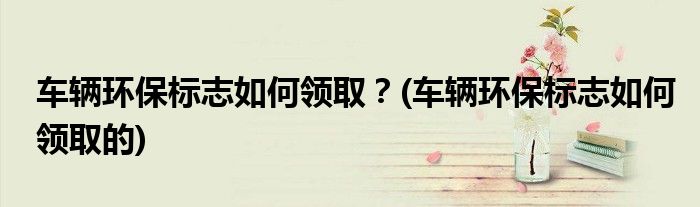 車輛環(huán)保標志如何領(lǐng)?。?車輛環(huán)保標志如何領(lǐng)取的)