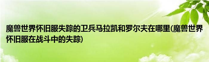 魔獸世界懷舊服失蹤的衛(wèi)兵馬拉凱和羅爾夫在哪里(魔獸世界懷舊服在戰(zhàn)斗中的失蹤)