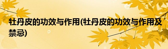 牡丹皮的功效與作用(牡丹皮的功效與作用及禁忌)