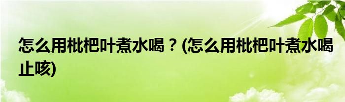 怎么用枇杷葉煮水喝？(怎么用枇杷葉煮水喝止咳)