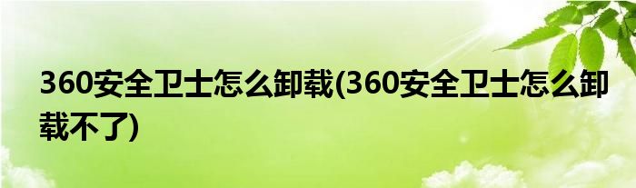 360安全衛(wèi)士怎么卸載(360安全衛(wèi)士怎么卸載不了)