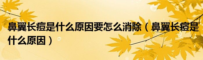鼻翼長(zhǎng)痘是什么原因要怎么消除（鼻翼長(zhǎng)痘是什么原因）