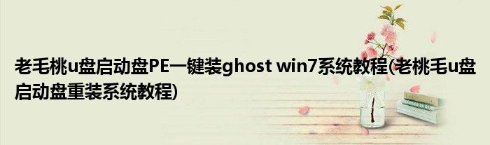 老毛桃u盤啟動(dòng)盤PE一鍵裝ghost win7系統(tǒng)教程(老桃毛u盤啟動(dòng)盤重裝系統(tǒng)教程)