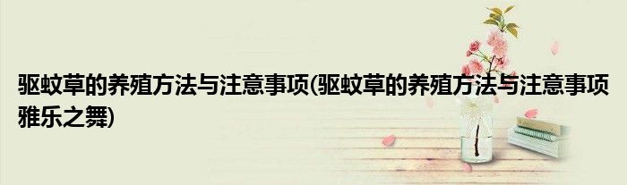 驅(qū)蚊草的養(yǎng)殖方法與注意事項(xiàng)(驅(qū)蚊草的養(yǎng)殖方法與注意事項(xiàng)雅樂(lè)之舞)