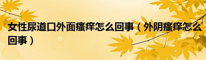 女性尿道口外面瘙癢怎么回事（外陰瘙癢怎么回事）