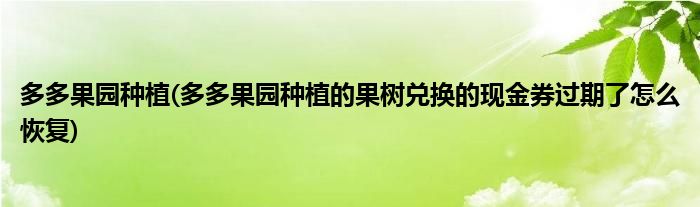 多多果園種植(多多果園種植的果樹兌換的現(xiàn)金券過期了怎么恢復)
