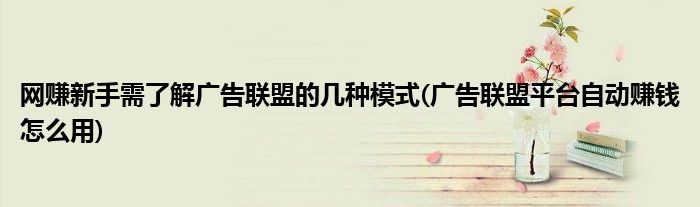 網(wǎng)賺新手需了解廣告聯(lián)盟的幾種模式(廣告聯(lián)盟平臺自動賺錢怎么用)