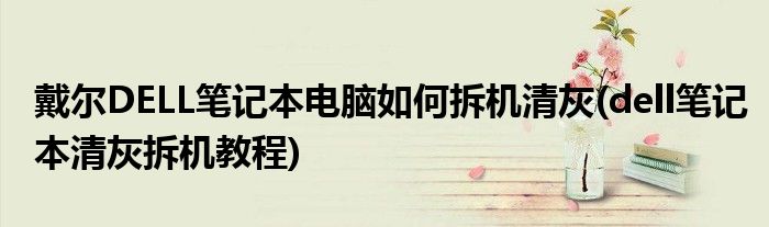 戴爾DELL筆記本電腦如何拆機清灰(dell筆記本清灰拆機教程)