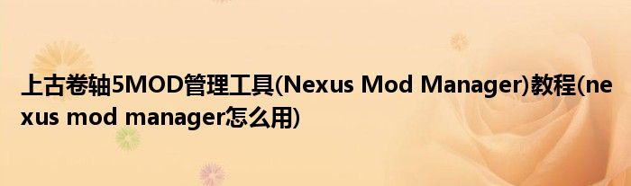 上古卷軸5MOD管理工具(Nexus Mod Manager)教程(nexus mod manager怎么用)