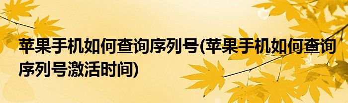 蘋果手機(jī)如何查詢序列號(hào)(蘋果手機(jī)如何查詢序列號(hào)激活時(shí)間)