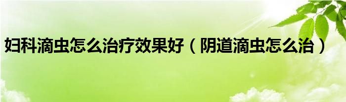 婦科滴蟲怎么治療效果好（陰道滴蟲怎么治）