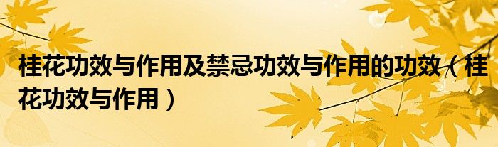 桂花功效與作用及禁忌功效與作用的功效（桂花功效與作用）