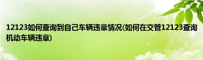 12123如何查詢到自己車輛違章情況(如何在交管12123查詢機(jī)動(dòng)車輛違章)