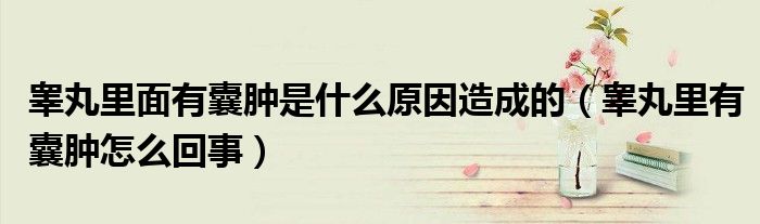 睪丸里面有囊腫是什么原因造成的（睪丸里有囊腫怎么回事）