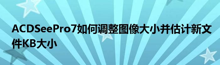 ACDSeePro7如何調(diào)整圖像大小并估計(jì)新文件KB大小