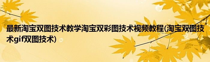 最新淘寶雙圖技術教學淘寶雙彩圖技術視頻教程(淘寶雙圖技術gif雙圖技術)
