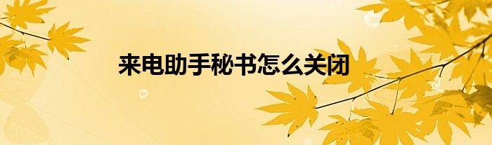 來電助手秘書怎么關(guān)閉