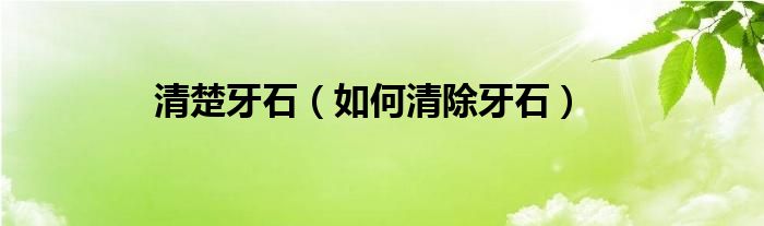 清楚牙石（如何清除牙石）