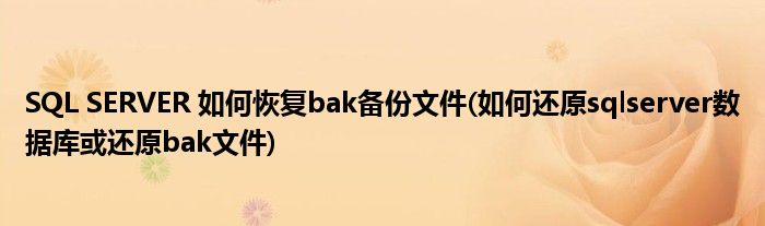 SQL SERVER 如何恢復(fù)bak備份文件(如何還原sqlserver數(shù)據(jù)庫或還原bak文件)