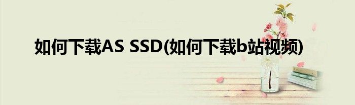 如何下載AS SSD(如何下載b站視頻)
