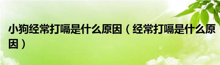 小狗經(jīng)常打嗝是什么原因(經(jīng)常打嗝是什么原因)