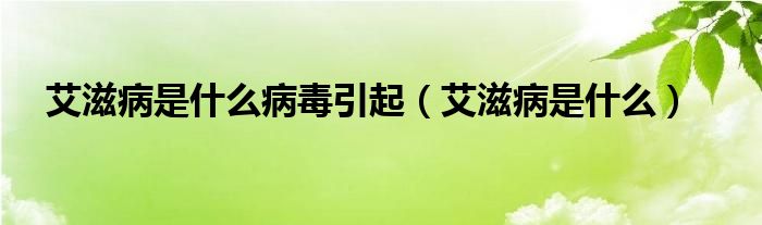 艾滋病是什么病毒引起(艾滋病是什么)