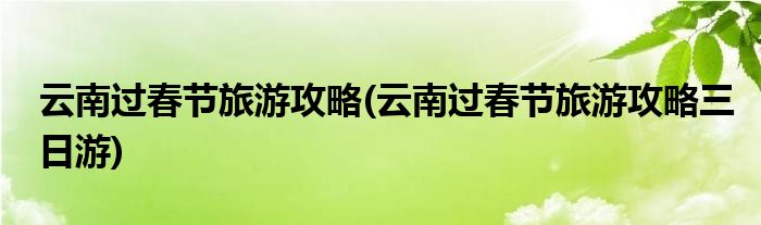 云南過(guò)春節(jié)旅游攻略(云南過(guò)春節(jié)旅游攻略三日游)
