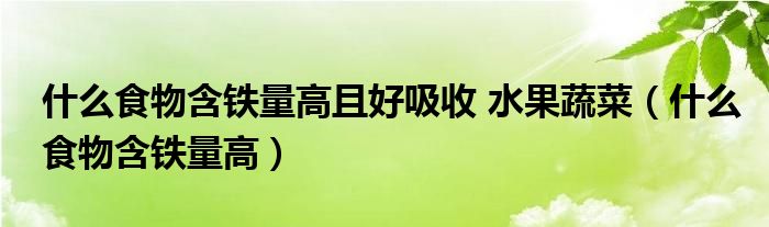 什么食物含鐵量高且好吸收 水果蔬菜（什么食物含鐵量高）