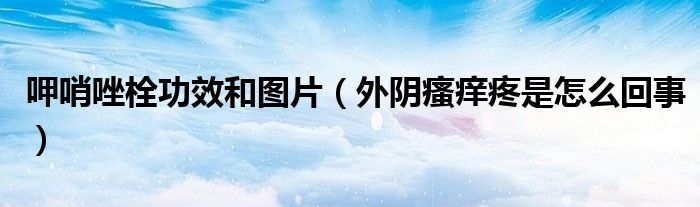 呷哨唑栓功效和圖片（外陰瘙癢疼是怎么回事）