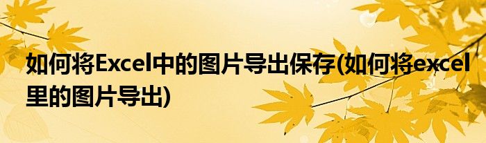 如何將Excel中的圖片導(dǎo)出保存(如何將excel里的圖片導(dǎo)出)