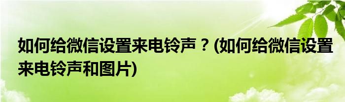 如何給微信設(shè)置來電鈴聲？(如何給微信設(shè)置來電鈴聲和圖片)