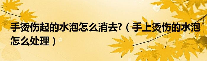 手燙傷起的水泡怎么消去?(手上燙傷的水泡怎么處理)