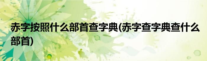 赤字按照什么部首查字典(赤字查字典查什么部首)