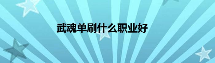 武魂單刷什么職業(yè)好