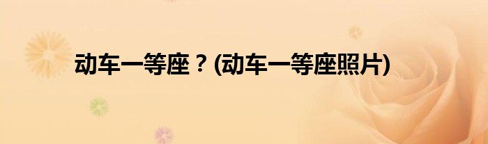 動車一等座？(動車一等座照片)