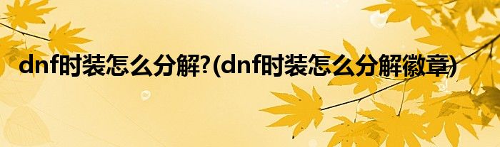 dnf時(shí)裝怎么分解?(dnf時(shí)裝怎么分解徽章)