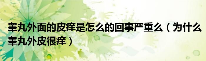 睪丸外面的皮癢是怎么的回事嚴(yán)重么（為什么睪丸外皮很癢）