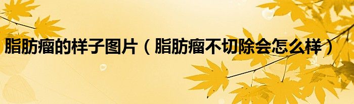 脂肪瘤的樣子圖片（脂肪瘤不切除會怎么樣）