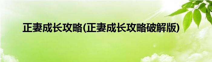 正妻成長攻略(正妻成長攻略破解版)