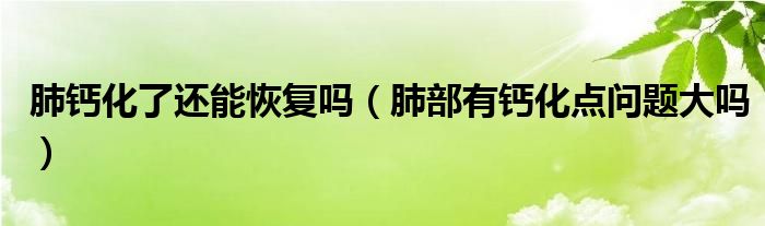 肺鈣化了還能恢復(fù)嗎(肺部有鈣化點(diǎn)問題大嗎)