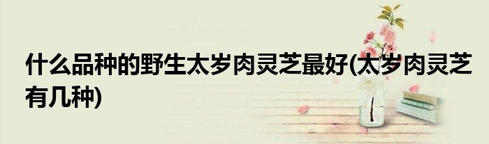 什么品種的野生太歲肉靈芝最好(太歲肉靈芝有幾種)
