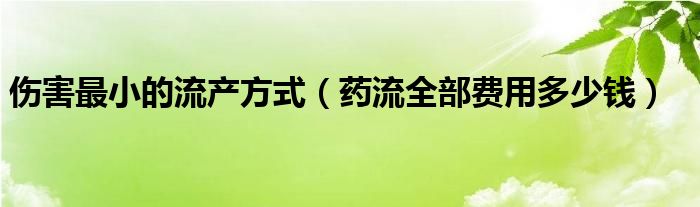 傷害最小的流產(chǎn)方式(藥流全部費(fèi)用多少錢(qián))