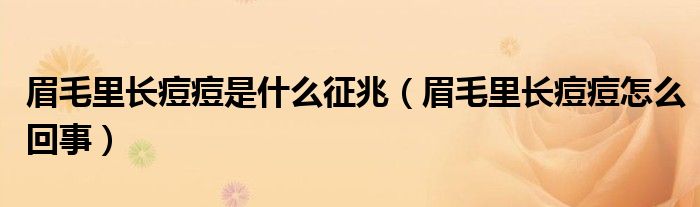 眉毛里長痘痘是什么征兆（眉毛里長痘痘怎么回事）