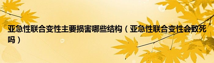 亞急性聯(lián)合變性主要損害哪些結構（亞急性聯(lián)合變性會致死嗎）